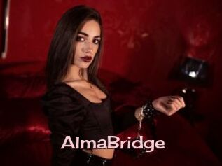 AlmaBridge