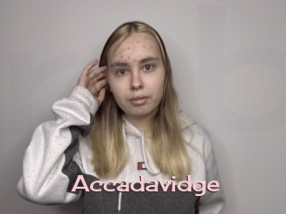 Accadavidge