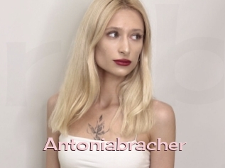 Antoniabracher