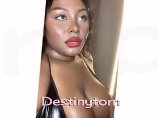 Destinytorn