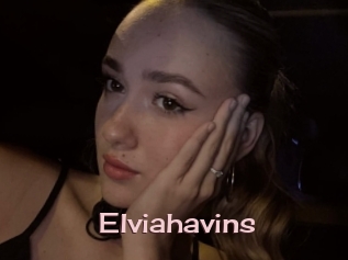 Elviahavins