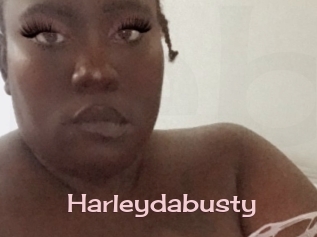 Harleydabusty