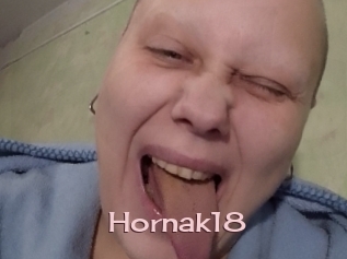 Hornak18