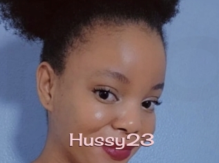 Hussy23