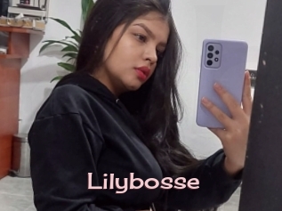 Lilybosse