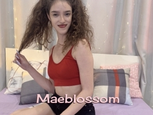 Maeblossom