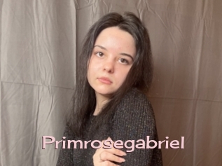 Primrosegabriel