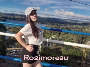 Rosimoreau