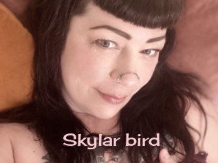 Skylar_bird