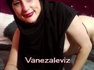 Vanezaleviz