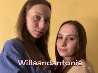 Willaandantonia