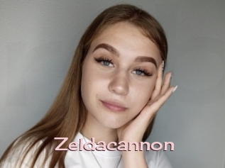 Zeldacannon